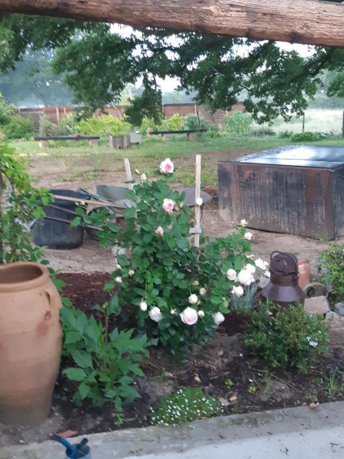 Atelier Natur'L Les Ronzieres Saint-Paul-d'Uzore Екстериор снимка